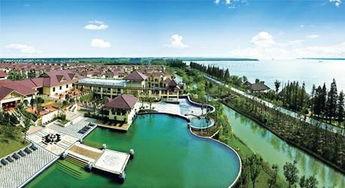 雍湖社区爆料案件最新,神秘案件背后真相逐步揭晓