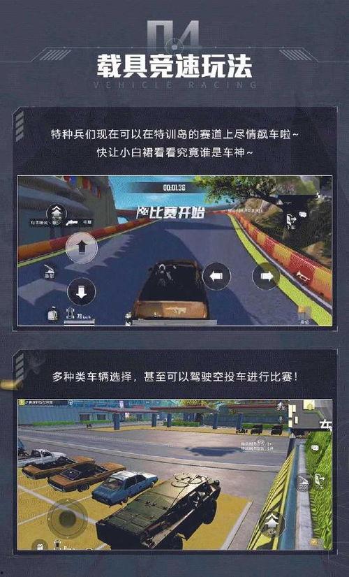 和平精英特训岛最新爆料,神秘岛屿等你探险，精彩玩法抢先看！