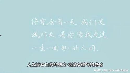 情感语录最新爆料文案,最新爆料，揭开心灵深处的故事