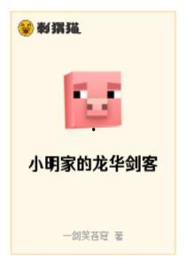 深圳龙华小明最新爆料,小明揭露惊人内幕，揭秘背后真相