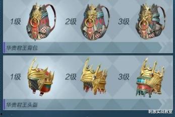 吃鸡军需爆料最新消息在哪看,最新消息汇总，揭秘军需动向！