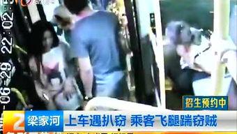 昆明爆料最新,揭秘城市热点事件背后的真相