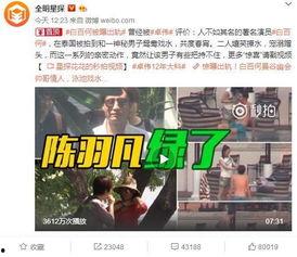 衡东二中爆料事件视频最新,真相与反思交织的校园风波